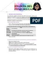 Patologia Del Intestino Delgado