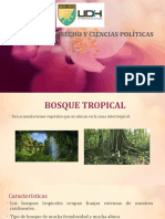 Bosques Tropical y Bosque Templado