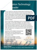 IT Team Leader PDF