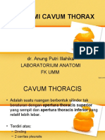 Anatomi Cavum Thorax