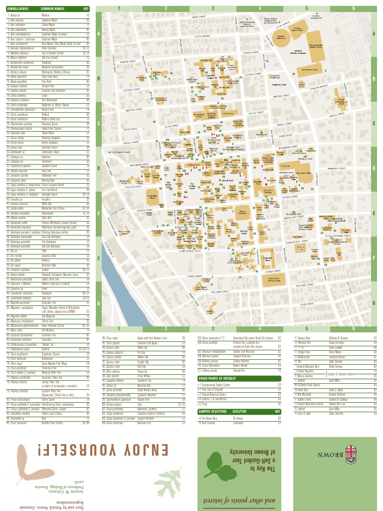 Brown Guide To Trees and Shrubs PDF Maple Oak