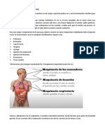 Lo Que Debes Saber Sobre Tu Voz