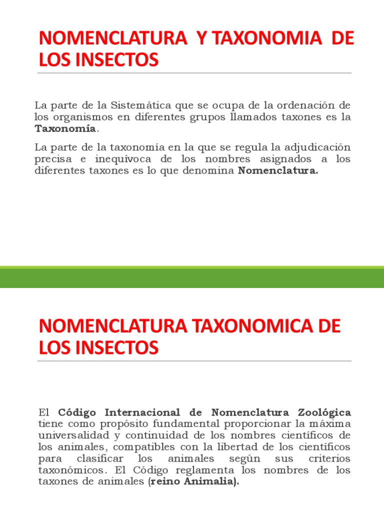 01 Nomenclatura y Taxonomia de Los Insectos PDF Taxonomía (biología