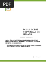 An FoQus Summary Report LLIN Portuguese Wp Changes