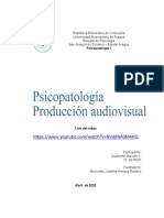 PAudiovisual Psicopatología 2