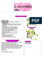 S2: Anatomia Aplicada: Evaluación Clínica de Pelvis