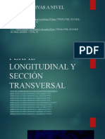 Perfil Longitudinal y Sección Transversal