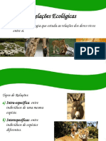 RELAÇÕES ECOLÓGICAS