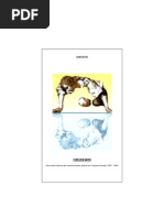 O Espelho de Narciso