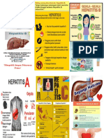 Leaflet Hepatitis New