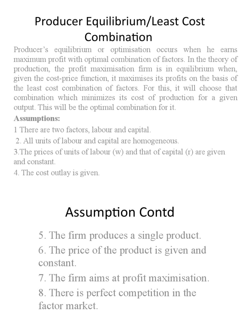 Producer Equilibrium/Least Cost Combination Assumptions PDF