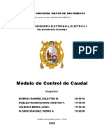 Informe Final Automatizacion