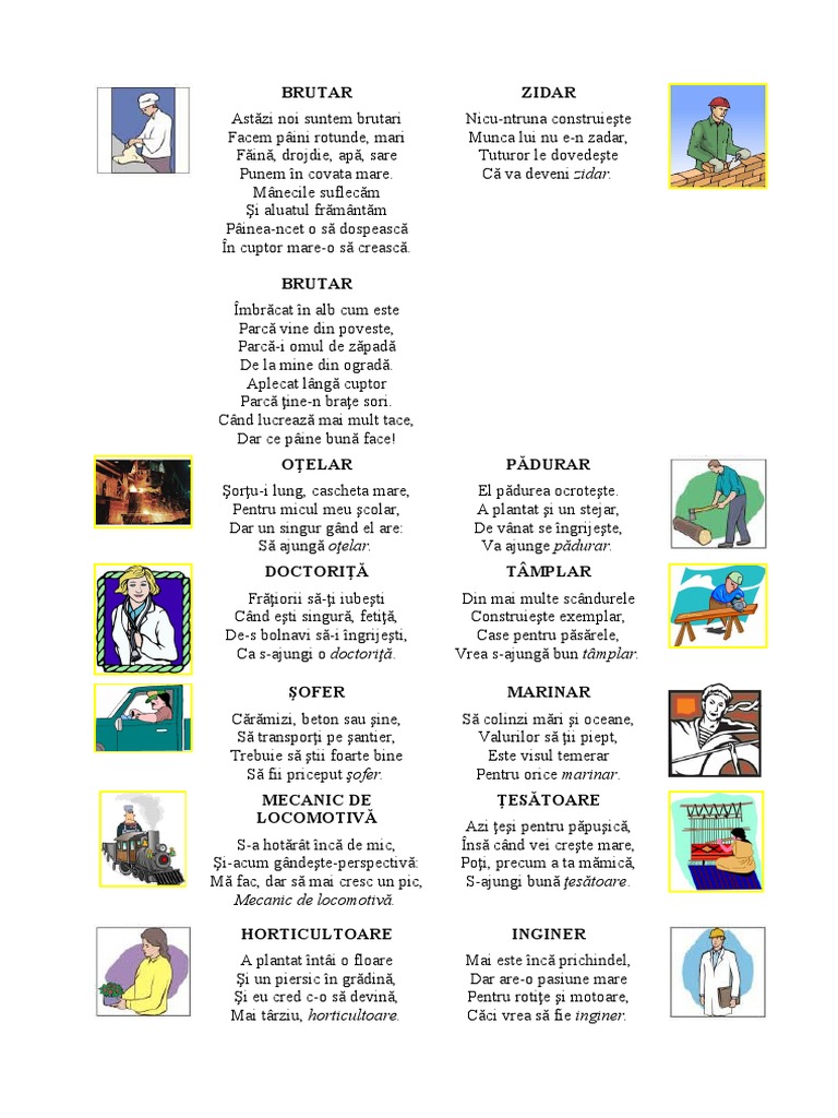 Meserii | PDF