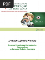 Apresentacao Estrategias