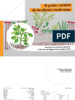 PLANTAS CURATIVAS.pdf