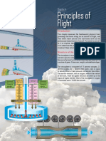 Principle of Flight.pdf