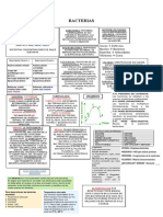 Bacterias Tema 2 Resumen