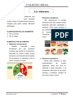 Los alimentos: clasificación y función para una vida saludable