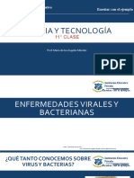 s13CIENCIA Y TECNOLOGÍA - 6GRADO