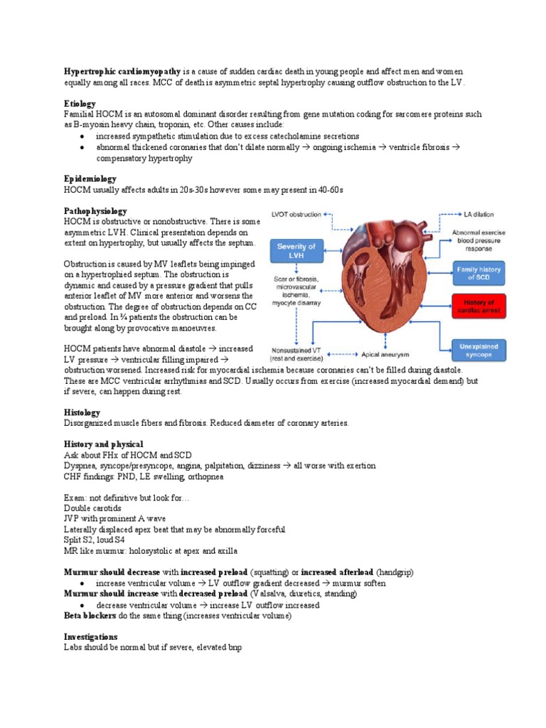 Hypertrophic Cardiomyopathy Overview | PDF | Cardiovascular System ...