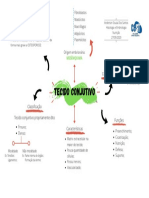 Tecido conjuntivo: características, células e funções