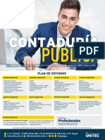 PRO Contaduria Publica 2020 VR WEB PDF