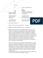 informe d 2