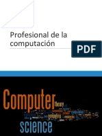 Profesional de La Computación