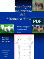 TP Osteología Comparada MT