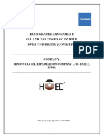 HOEC - Peer Graded Assignment PDF
