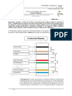 Tercer Examen Parcial Probabilidad y Estadística (2020-1)