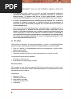 6. Plan de parto radar de gestantes.pdf