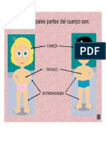 partes del cuerpo