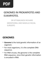 Genomes in Prokaryotes and Eukaryotes