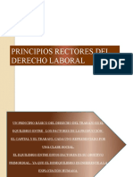 PRINCIPIOS RECTORES-18-ABRIL
