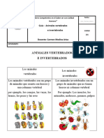 Actividad Animales Vertebrados e Invertebrados