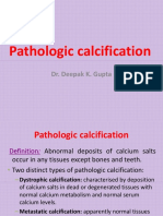 Pathologic Calcification: Dr. Deepak K. Gupta