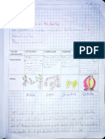 Ciencias Naturales Santiago Serrato 1 Junio