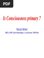 Michel Bitbol - Is Consciousness Primary?