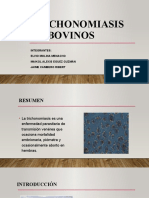 Trichonomiasis bovina: causas, síntomas y prevención