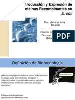 Teorico01 - Introducción A La Biotecnología y Expresión en E. Coli 2016 Biotecnologia