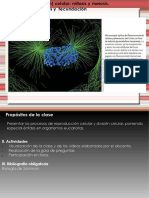 Mitosis y Meiosis 2020 PDF