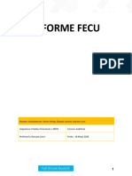 Informe - FECU IFRS