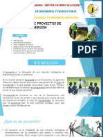 Gestíon de Proyectos de Inversión