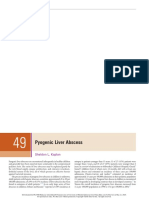 Pyogenic Liver Abses