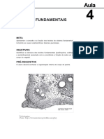 Tecidos fundamentais da planta: parênquima, colênquima e esclerênquima