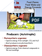 FoodWebs