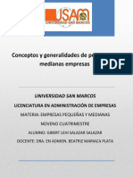 Conceptos y Generalidades de Pequeñas y Medianas Empresas PDF