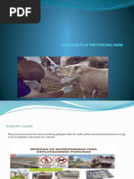Livestock Isolation and Quarantine Guide | PDF | Quarantine | Livestock