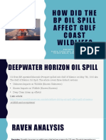 David Biello Oil Spills